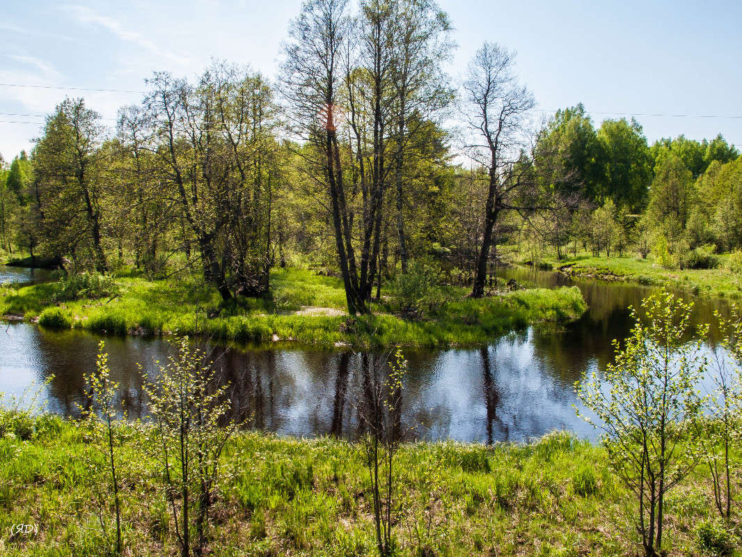 *** ����� ������� ������� �� PhotoGeek.ru #������ ��� �������