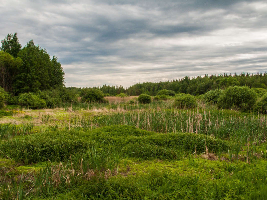 *** ����� ������� ������� �� PhotoGeek.ru #������ ��� �������