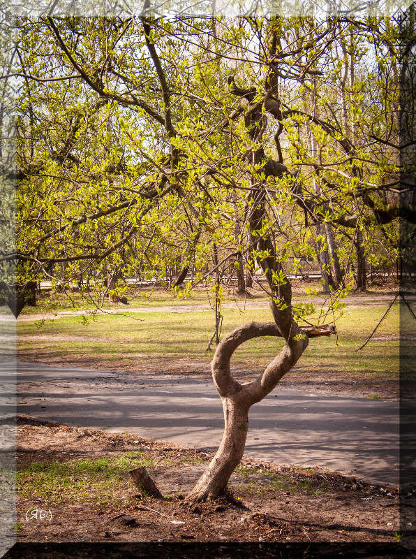 *** ����� ������� ������� �� PhotoGeek.ru #������ ��� ������� #����� ��������������