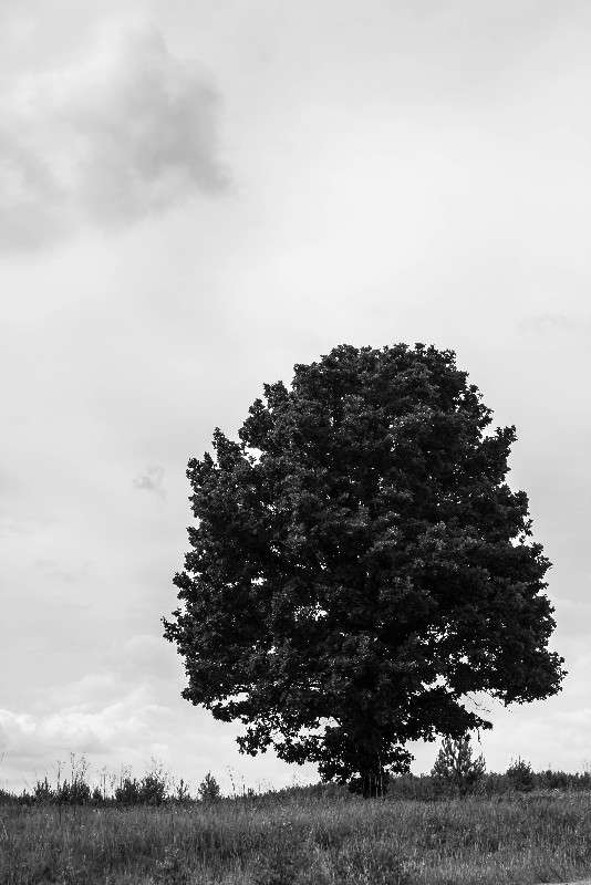 *** ����� ������� ������� �� PhotoGeek.ru #������ ��� �������