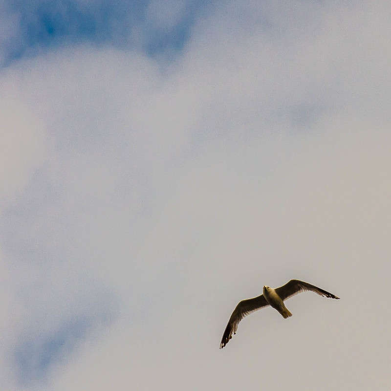 *** ����� ������� ������� �� PhotoGeek.ru #�������� ���