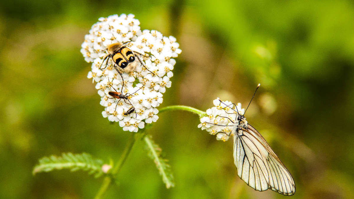 ��������... ����� ������� ������� �� PhotoGeek.ru #������ ��� �������