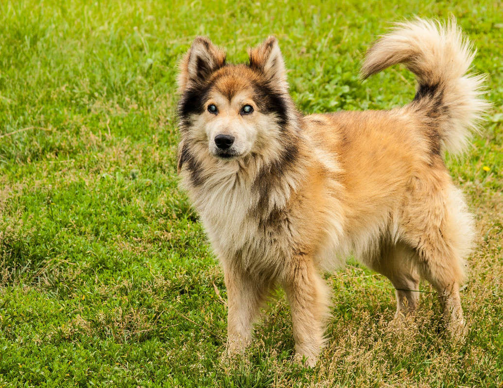 ������ �������.... ����� ������� ������� �� PhotoGeek.ru #�������� ���