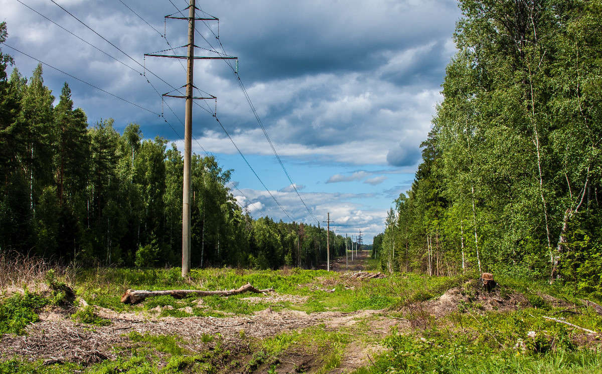 *** ����� ������� ������� �� PhotoGeek.ru #������ ��� �������