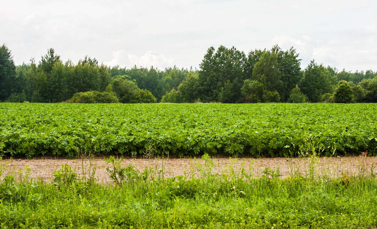 �������� ����� ������� ������� �� PhotoGeek.ru #������ ��� �������