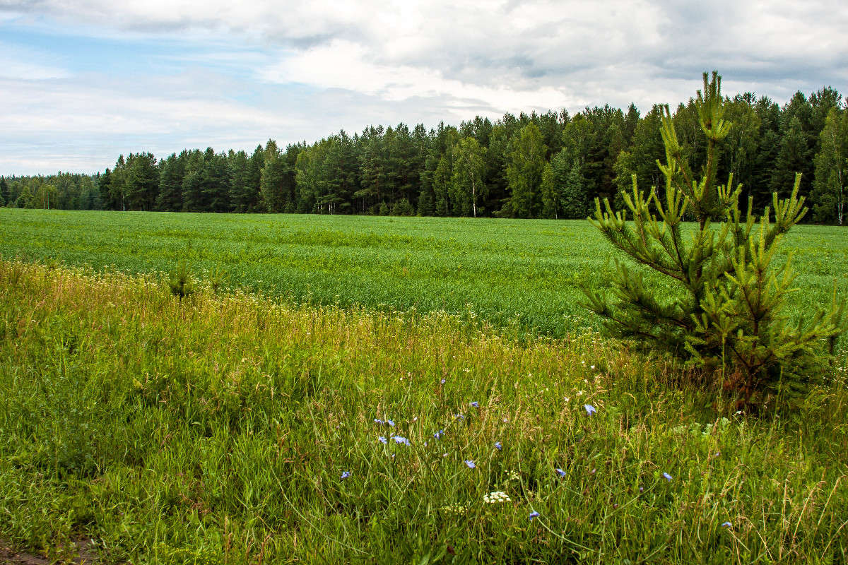 *** ����� ������� ������� �� PhotoGeek.ru #������ ��� �������