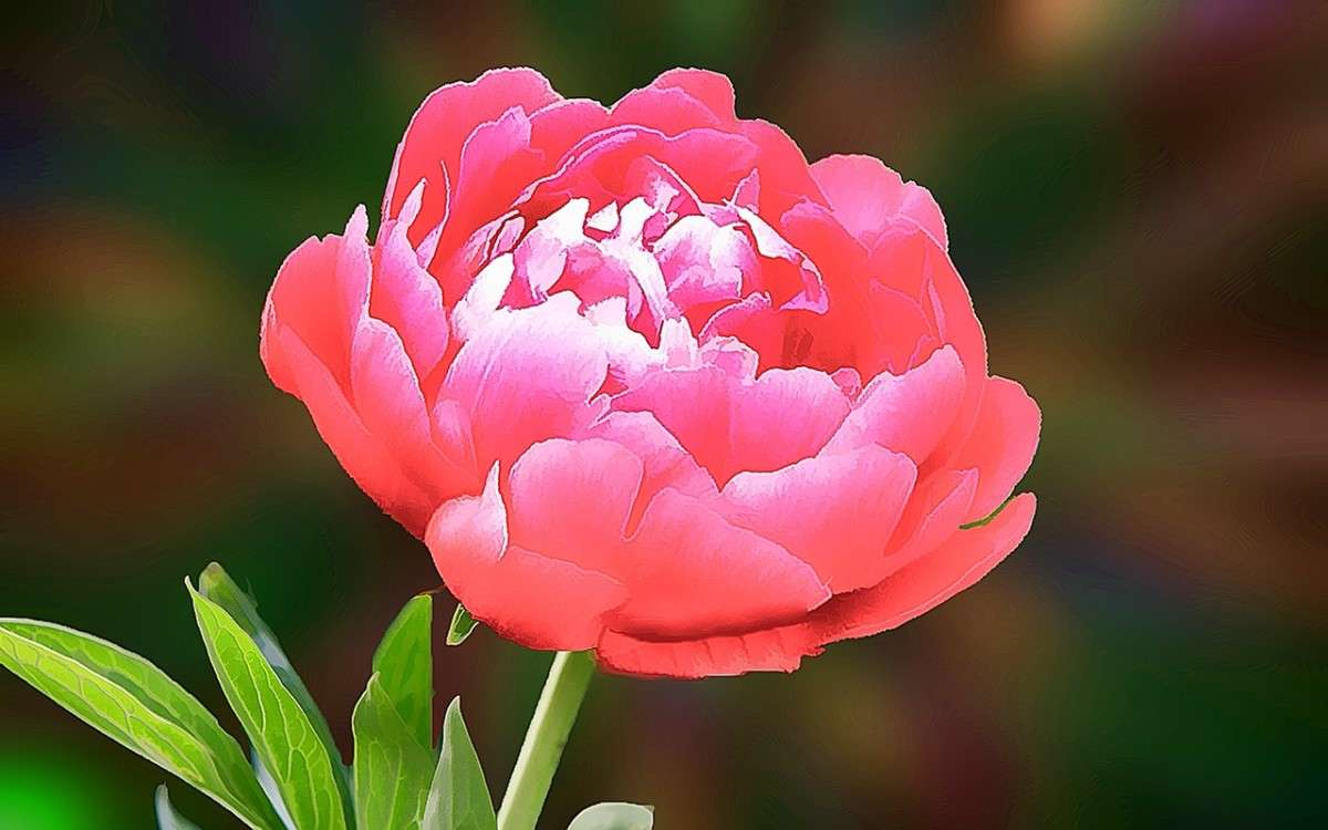 ���� ����� ������� ����� �� PhotoGeek.ru #������ ��� ������� #���-����������� #����� ��������������