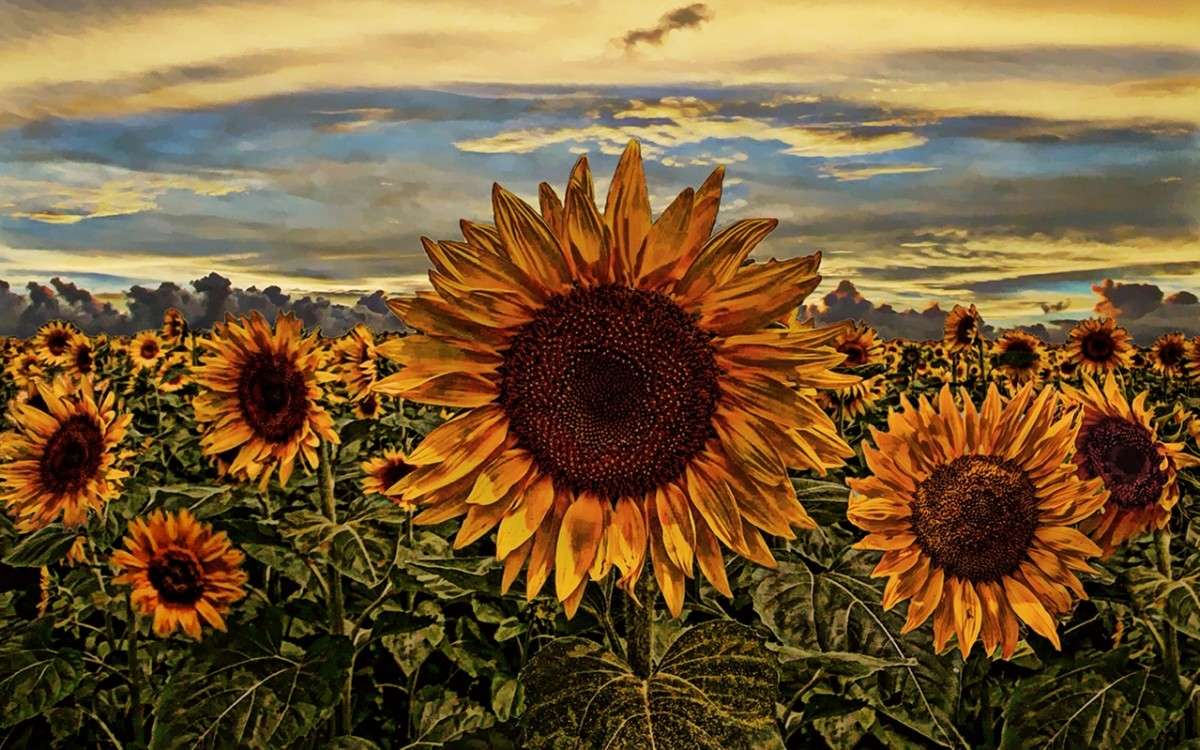 ���������� ����� ������� ����� �� PhotoGeek.ru #������ ��� ������� #����� ��������������