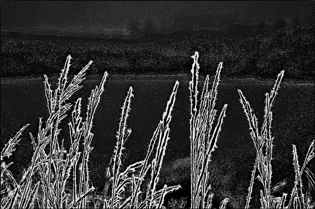 Подморозило автор Алексей Бажан на PhotoGeek.ru #Пейзаж или природа #Арт-манипуляции #Черно-белое