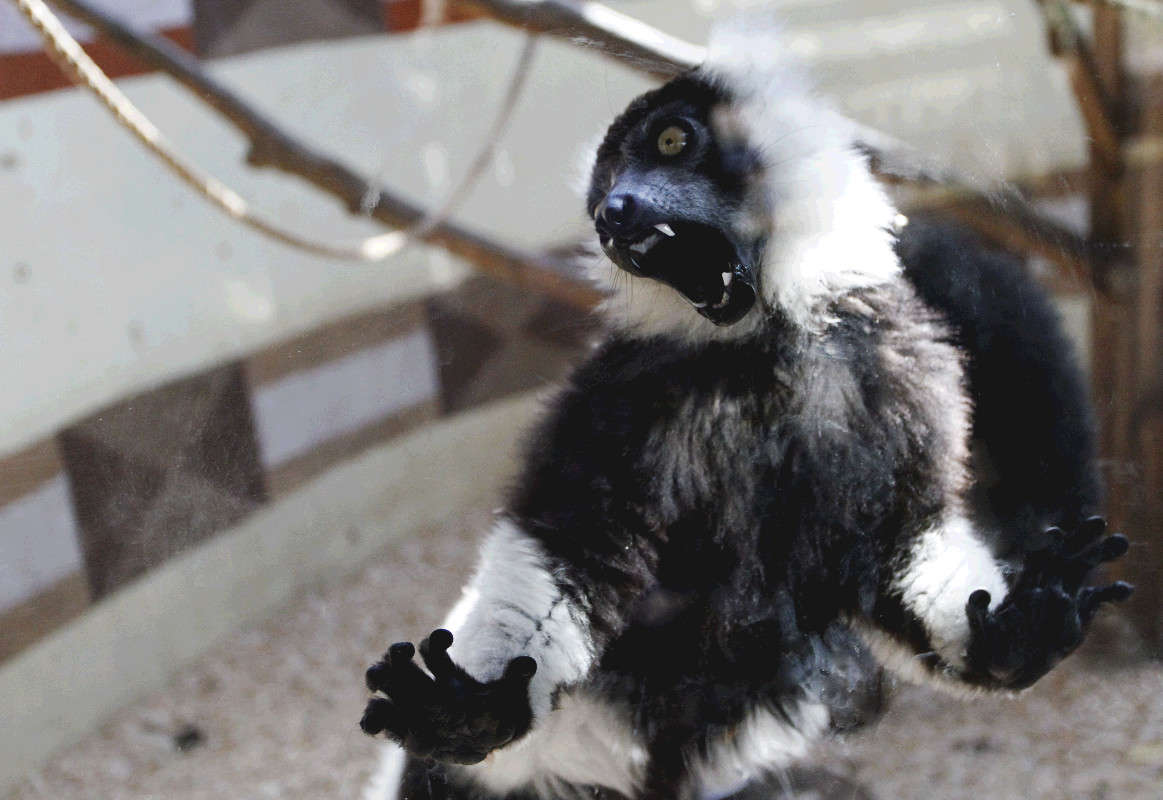 ������� ����� ����������  �� PhotoGeek.ru #�������� ��� #�������� #������� ��������