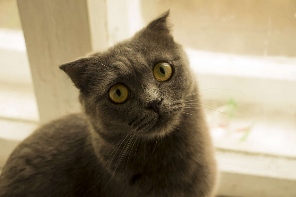 ��� ����� ����� ������� ���������� �� PhotoGeek.ru #�������� ��� #�������