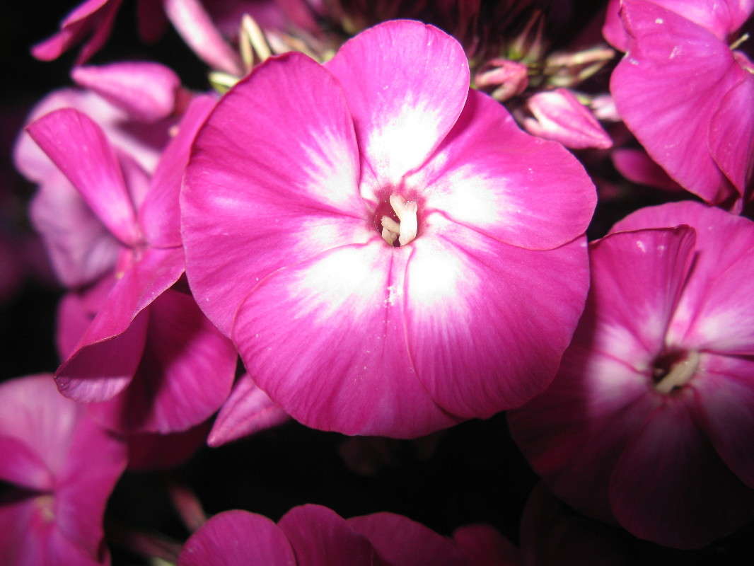 ... ����� Anastasia  �� PhotoGeek.ru #����� #����� ��������������