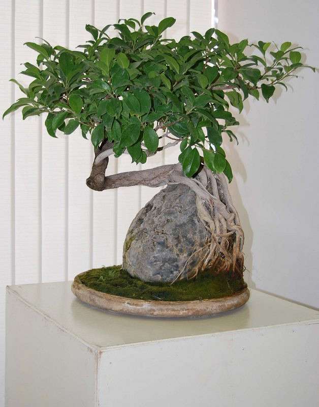 ��� ��� �������� ����� �����  �� PhotoGeek.ru #������ ��� ������� #����� ��������������