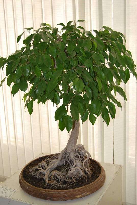 ������ ����� �����  �� PhotoGeek.ru #������ ��� ������� #����� ��������������