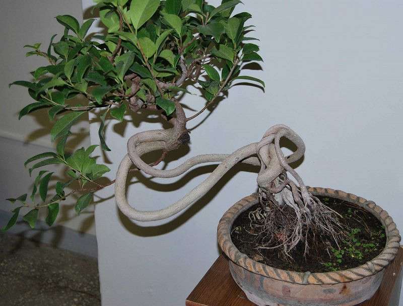 ����� ����������� ����� �����  �� PhotoGeek.ru #������ ��� ������� #����� ��������������