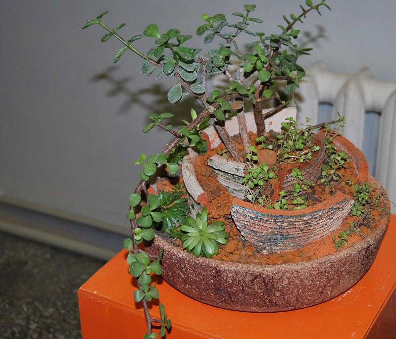 ����������� ����� �����  �� PhotoGeek.ru #������ ��� ������� #����� ��������������