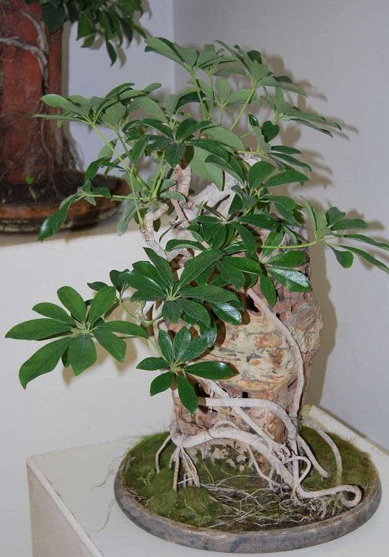 ���������� ����� ����� �����  �� PhotoGeek.ru #������ ��� ������� #����� ��������������