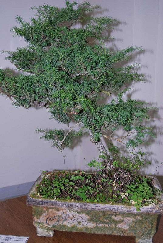 ���� ������ ����� �����  �� PhotoGeek.ru #������ ��� ������� #����� ��������������