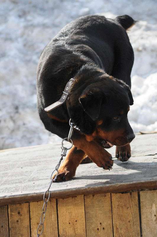 ���� � �� ��������� ����� �����  �� PhotoGeek.ru #�������� ��� #�������� ���