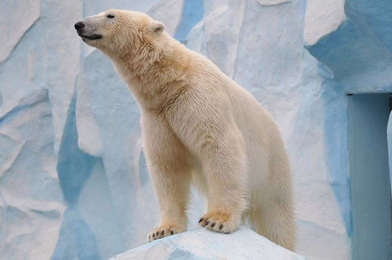 ����� �� ������ ����� �����  �� PhotoGeek.ru #�������� ��� #����� ��� ��� ���������