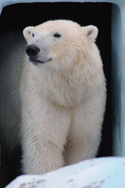 ����������� ����� �����  �� PhotoGeek.ru #�������� ��� #����� ��� ��� ���������