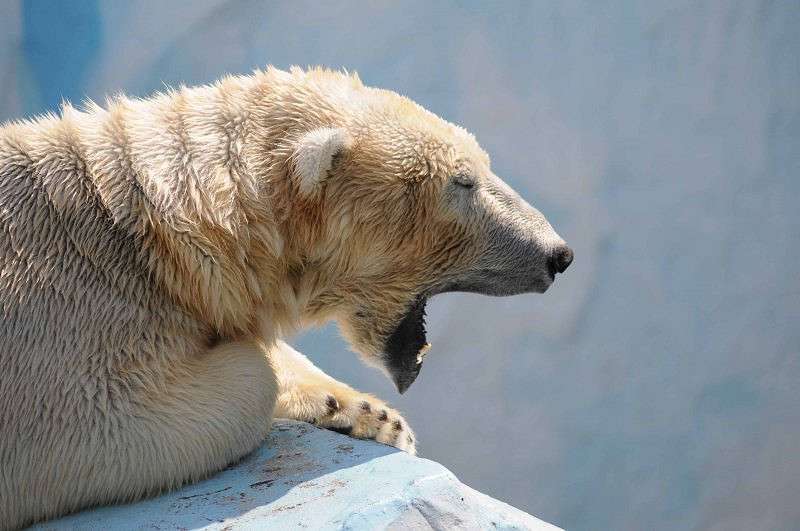 ������:) ����� �����  �� PhotoGeek.ru #�������� ��� #����� ��� ��� ���������