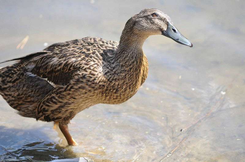 ��������?...� ������������ �������?:) ����� �����  �� PhotoGeek.ru #�������� ��� #����� ��� ��� ��������� #�������� ���