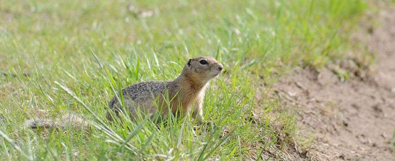 �� ������ ����� �����  �� PhotoGeek.ru #�������� ��� #����� ��� ��� ���������