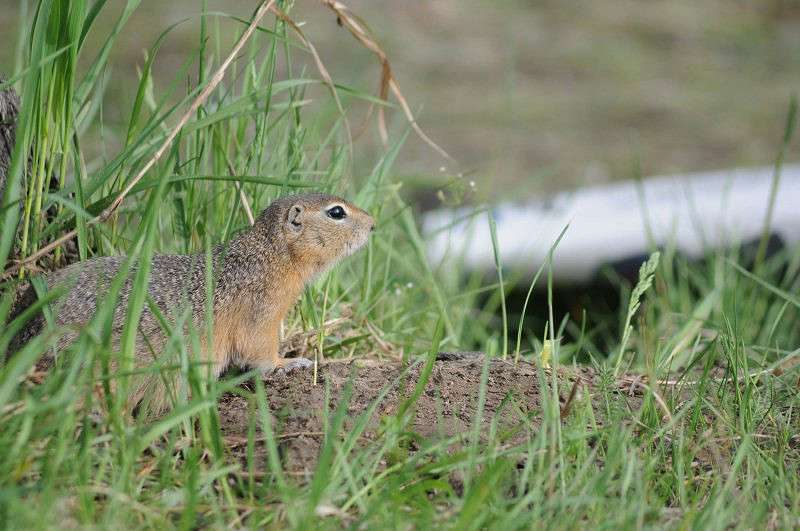 �� ����� �������� ����� �����  �� PhotoGeek.ru #�������� ��� #����� ��� ��� ���������