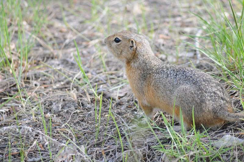 �� ����� �������� ����� �����  �� PhotoGeek.ru #�������� ��� #����� ��� ��� ���������