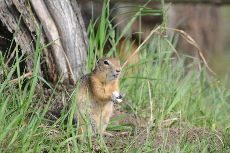 �� ����� �������� ����� �����  �� PhotoGeek.ru #�������� ��� #����� ��� ��� ���������