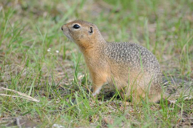 �� ����� �������� ����� �����  �� PhotoGeek.ru #�������� ��� #����� ��� ��� ���������