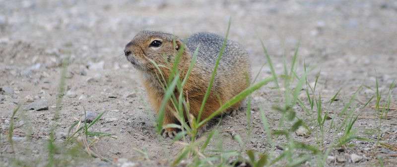 ��������� ������ ����� �����  �� PhotoGeek.ru #�������� ��� #����� ��� ��� ���������