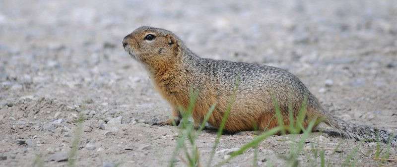 :) ����� �����  �� PhotoGeek.ru #�������� ��� #����� ��� ��� ���������