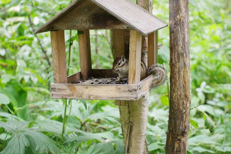 ��������� ������:) ����� �����  �� PhotoGeek.ru #�������� ��� #����� ��� ��� ���������