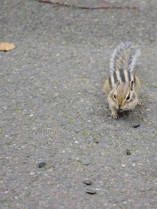 �� ������ �� �������... ����� �����  �� PhotoGeek.ru #�������� ��� #����� ��� ��� ���������