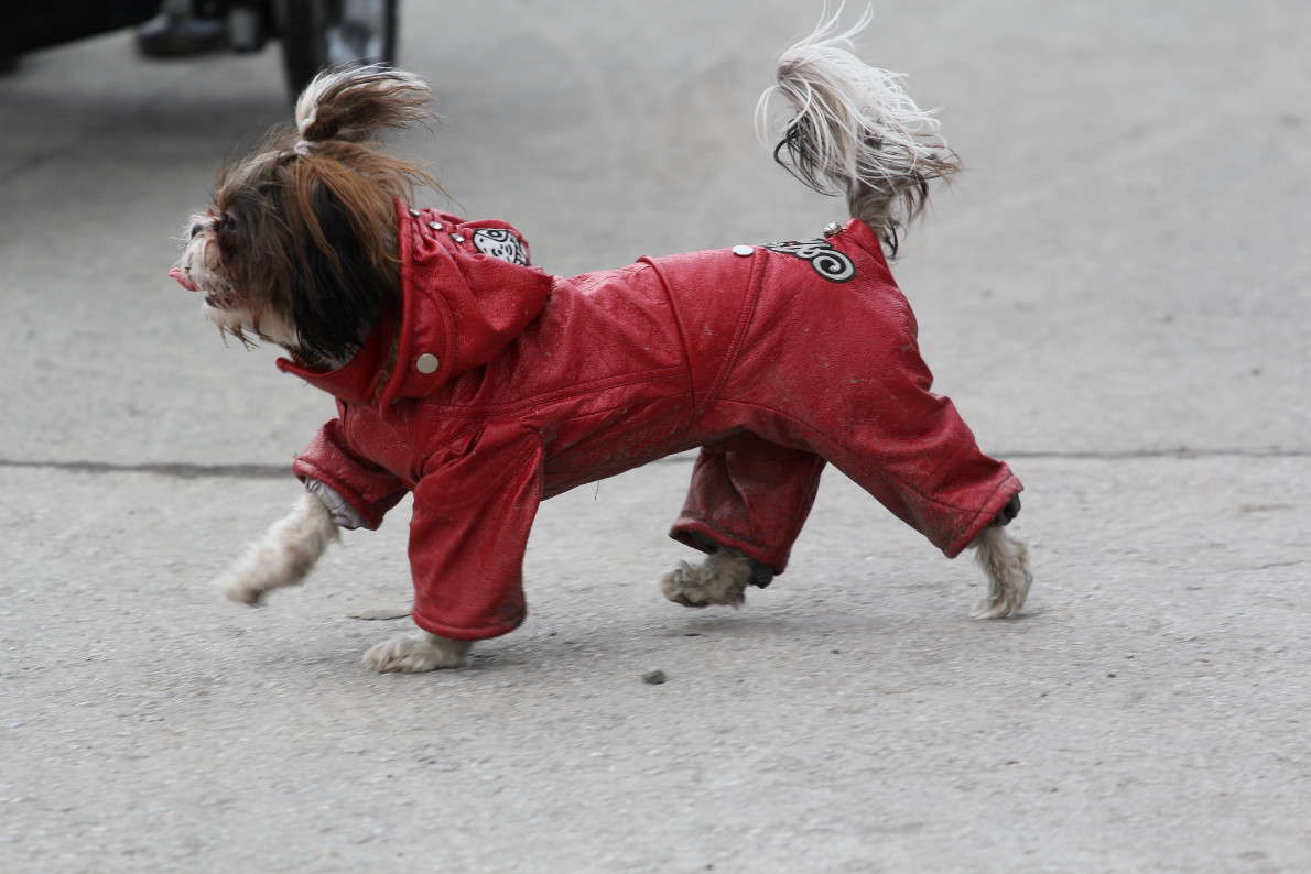 ���-���� ���� ����) ����� �����  �� PhotoGeek.ru #�������� ��� #�������� ���