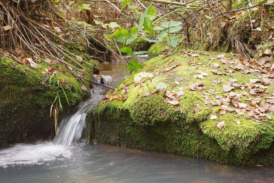 ����� ����� �����  �� PhotoGeek.ru #������ ��� �������