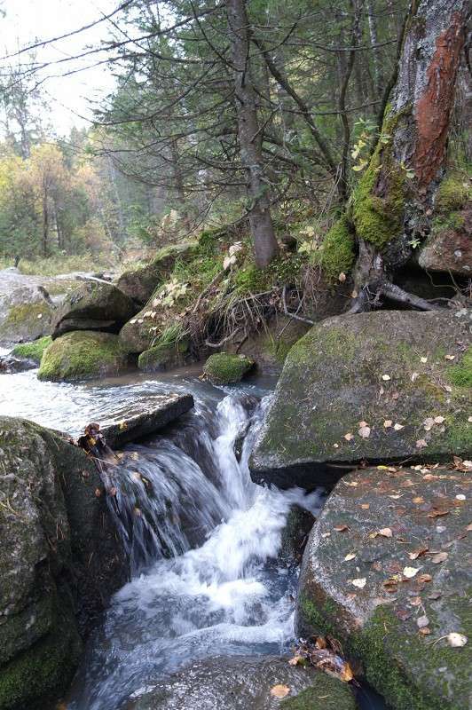 ����� ����� �����  �� PhotoGeek.ru #������ ��� �������