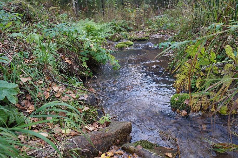 ����� ����� �����  �� PhotoGeek.ru #������ ��� �������