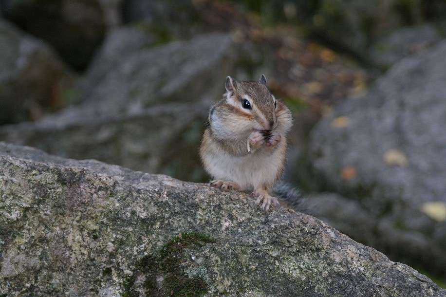 ����� ����� �����  �� PhotoGeek.ru #�������� ���