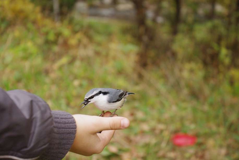 ����� ����� �����  �� PhotoGeek.ru #�������� ���