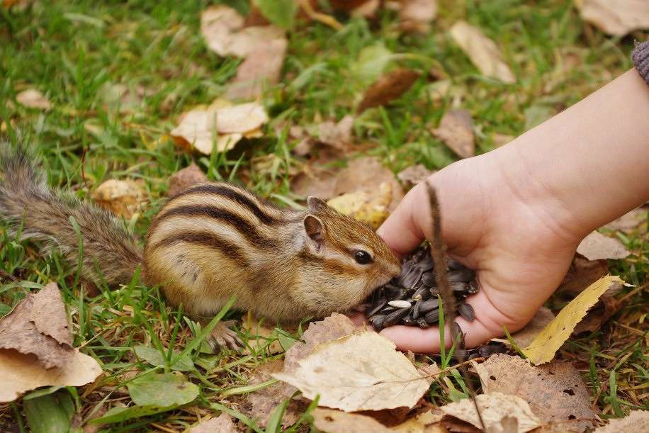 ����� ����� �����  �� PhotoGeek.ru #�������� ���