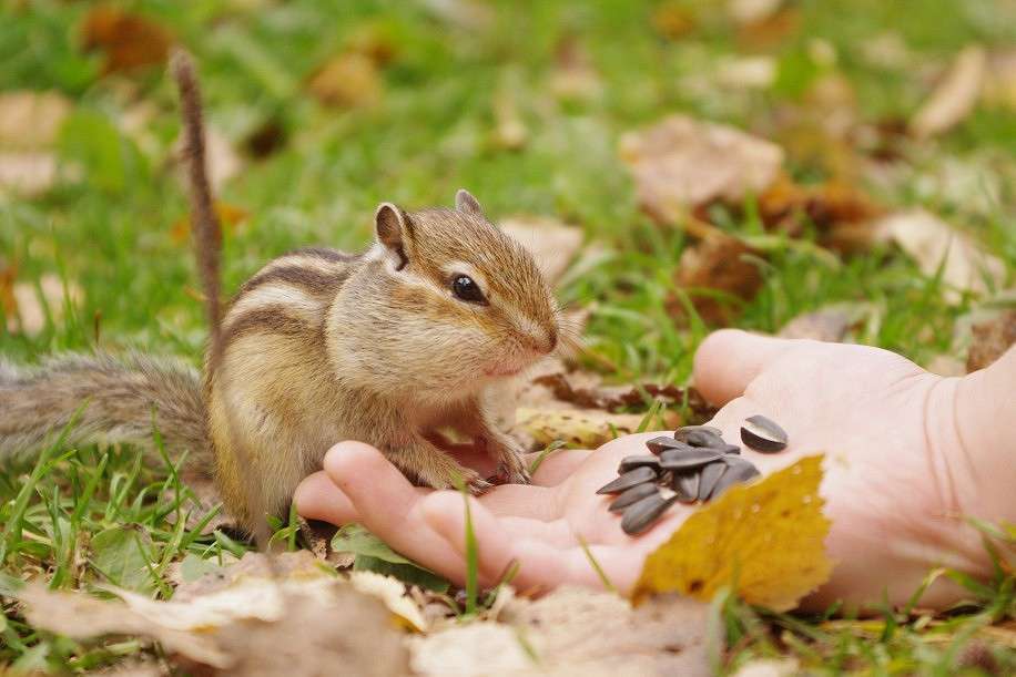 ����� ����� �����  �� PhotoGeek.ru #�������� ���