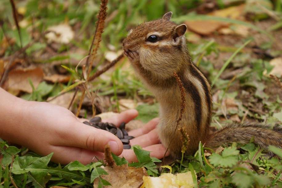 ����� ����� �����  �� PhotoGeek.ru #�������� ���