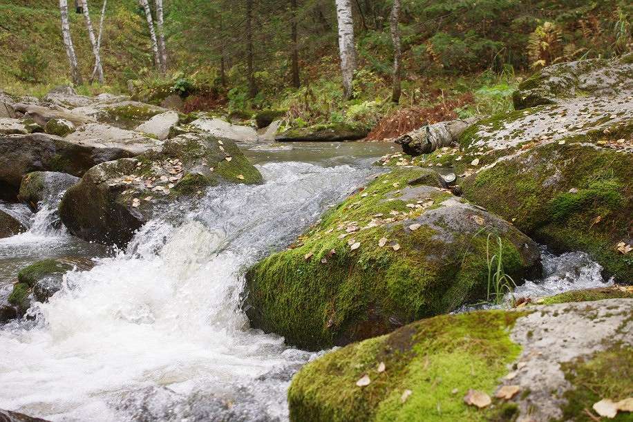 ����� ����� �����  �� PhotoGeek.ru #������ ��� �������