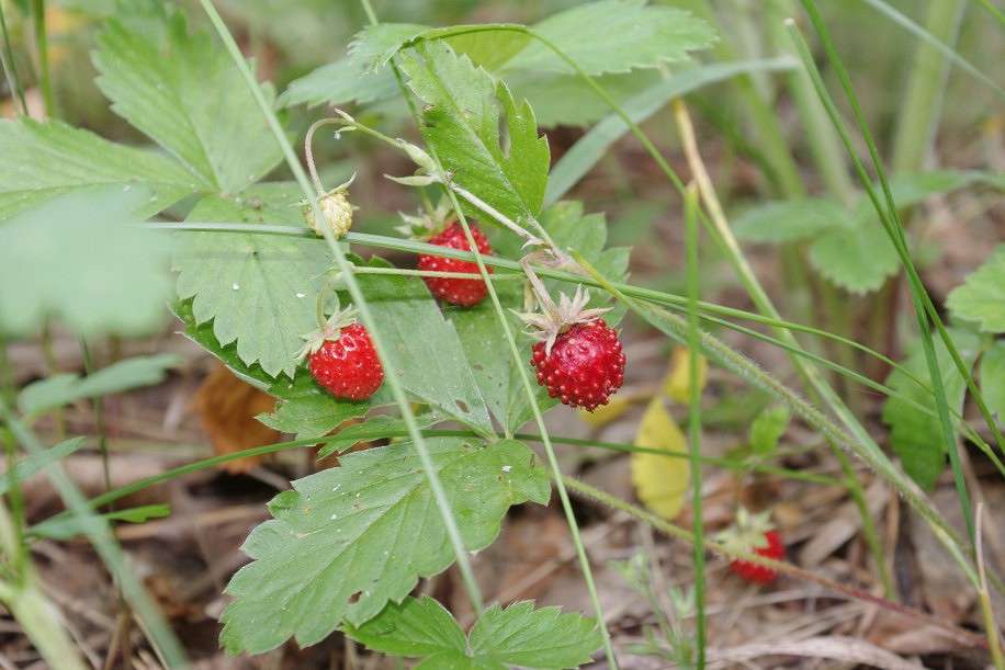 ���� ����� �����  �� PhotoGeek.ru #������ ��� �������