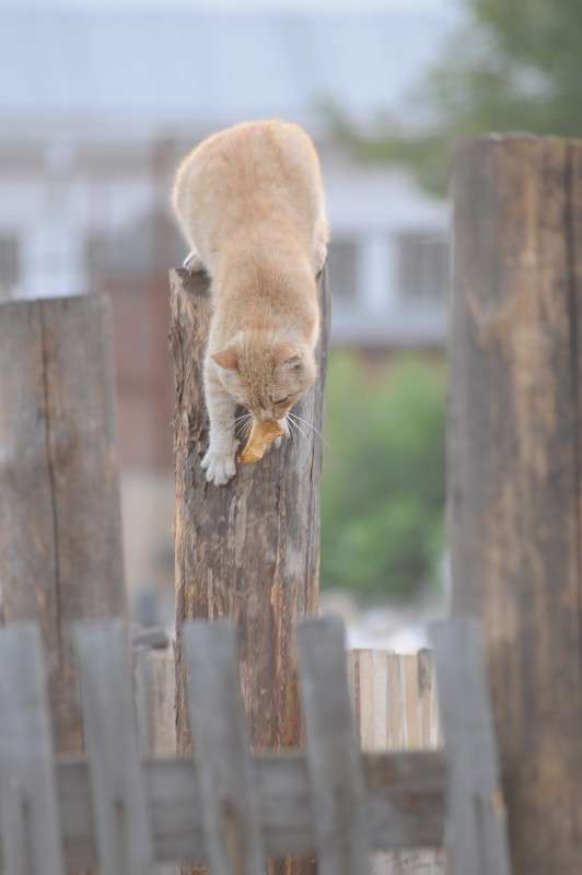 ����� ��������� ����� �����  �� PhotoGeek.ru #�������� ���