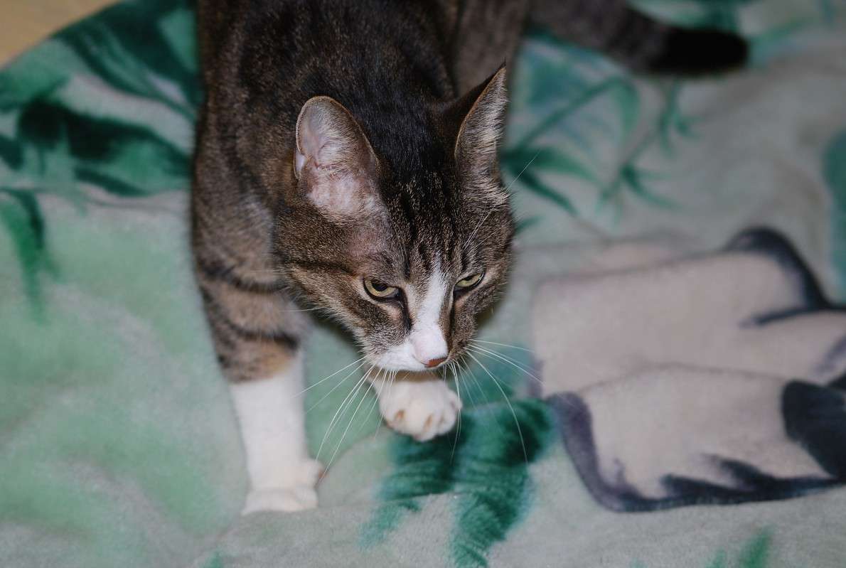 ���� ����� ���� ����� �����  �� PhotoGeek.ru #�������� ���