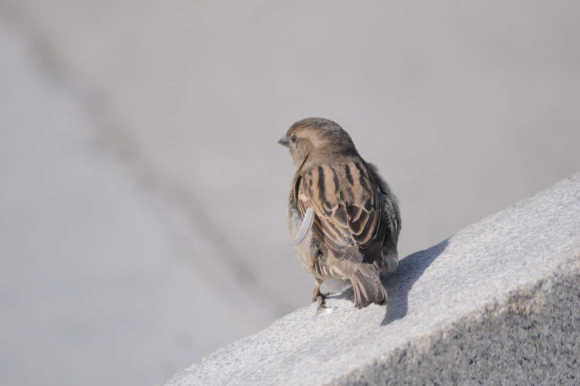 ���� ������� ����� �����  �� PhotoGeek.ru #�����